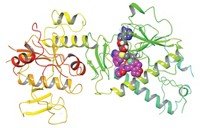 Serving the chemical, life science, and laboratory worlds