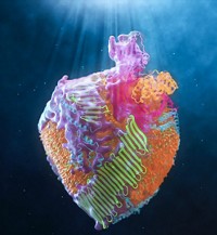 Serving the chemical, life science, and laboratory worlds
