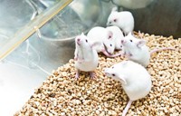 Serving the chemical, life science, and laboratory worlds