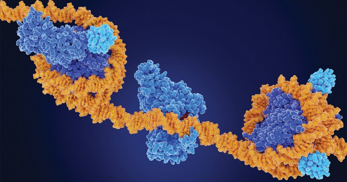 Neurotransmitters regulate the body clock by rearranging DNA