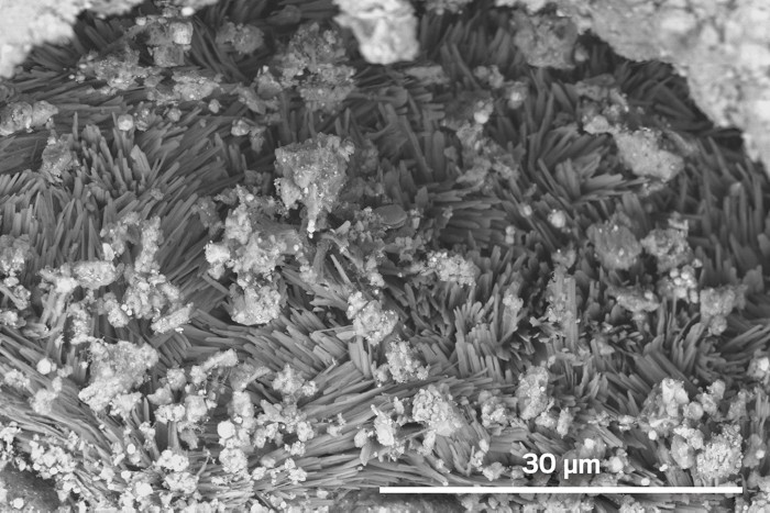 Compounds critical to life found on ancient asteroid