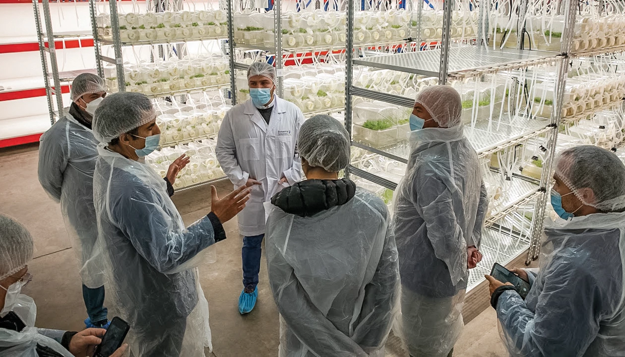 Can tiny lab-grown plants solve a big vaccine problem?