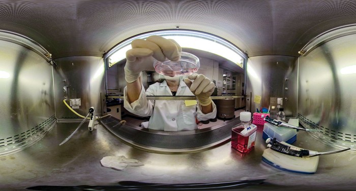 Editorial: US science-funding cuts—Are we throwing the baby out with ...