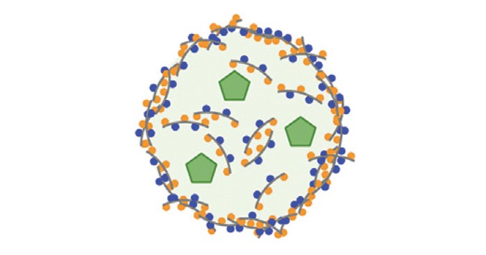 Designer peptides could save failed drug candidates