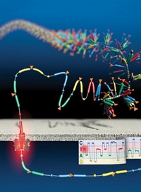 Serving the chemical, life science, and laboratory worlds