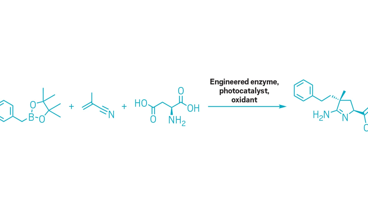 Modular reaction can build hundreds of unnatural amino acids