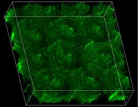 Serving the chemical, life science, and laboratory worlds