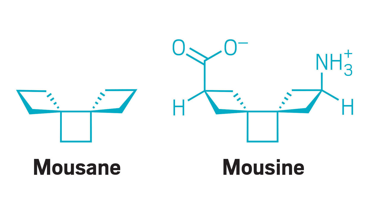 Mousanes scurry into the medicinal chemist’s toolbox