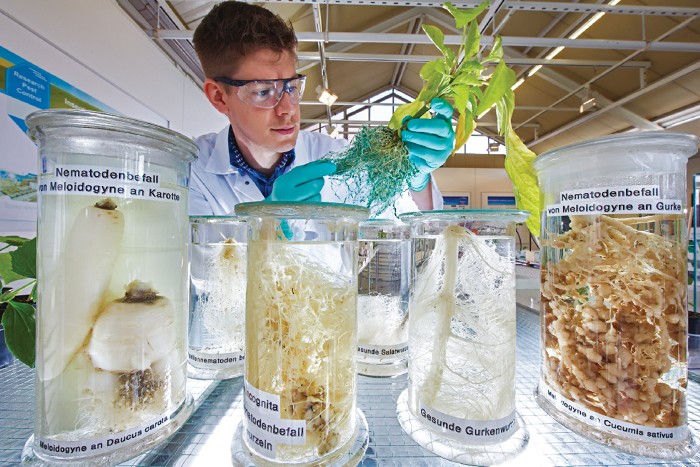Bayer to slash agrochemical jobs in Germany