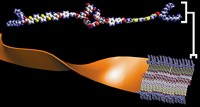 Serving the chemical, life science, and laboratory worlds