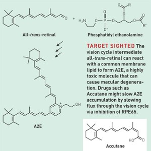 Accutane Buy Online Usa