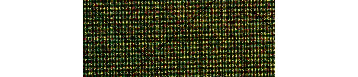 STANDARDIZING-DNA-MICROARRAYS