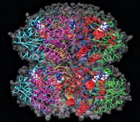 Serving the chemical, life science, and laboratory worlds