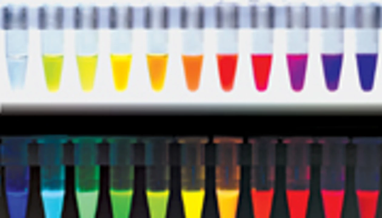 Colorful Proteins Express Themselves as Tags