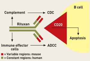 rituximab cd20