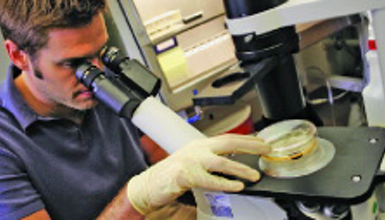 Turning Back a Cell's Clock