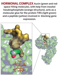 Serving the chemical, life science, and laboratory worlds
