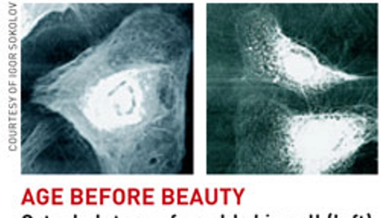 Skin Cream Made With Physics Know-How