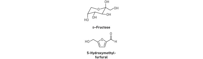 Polymer-Feedstock-Made-Biomass