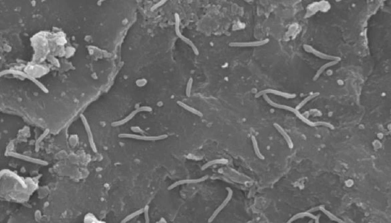 Microbial Methane Farming