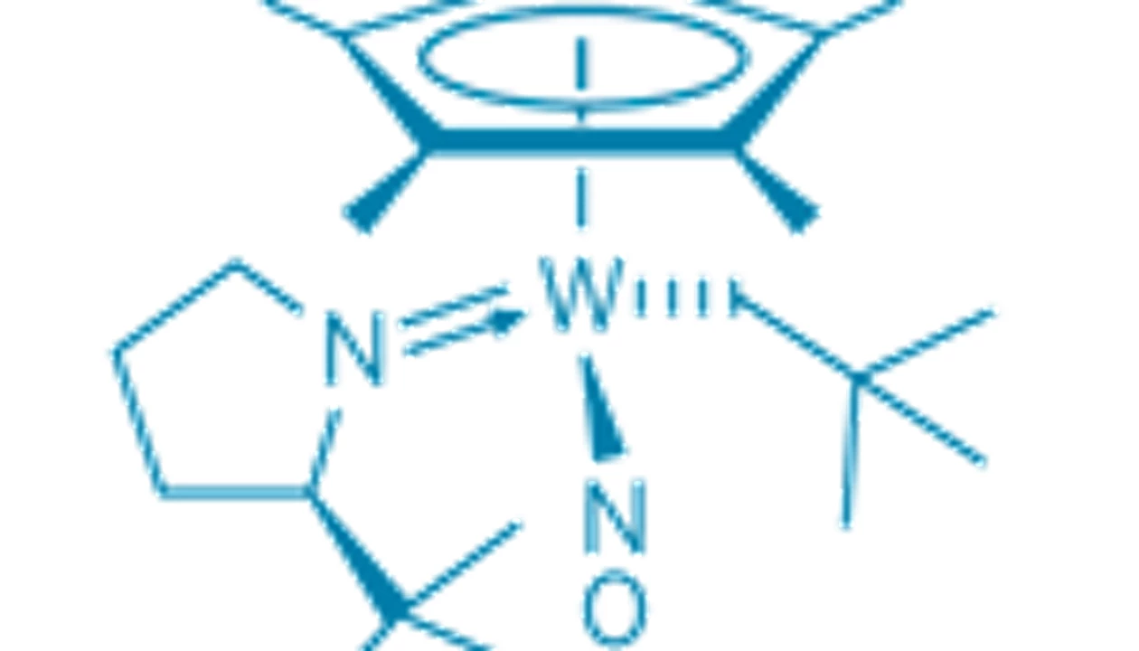 Concurrent N-H, C-H Bond Activations