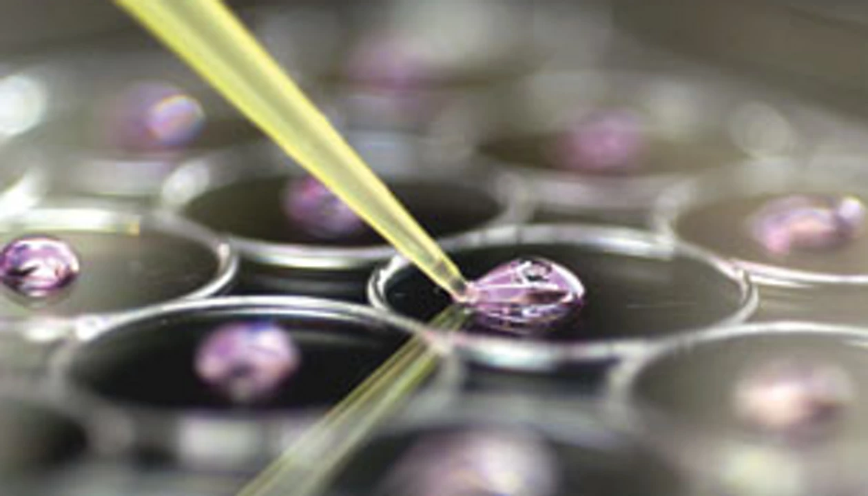Reducing Animal Testing Using Stem Cells