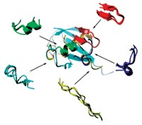 Serving the chemical, life science, and laboratory worlds