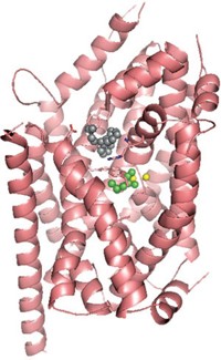 Serving the chemical, life science, and laboratory worlds