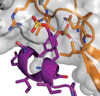 Serving the chemical, life science, and laboratory worlds