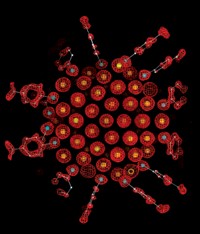 Serving the chemical, life science, and laboratory worlds