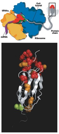 Serving the chemical, life science, and laboratory worlds