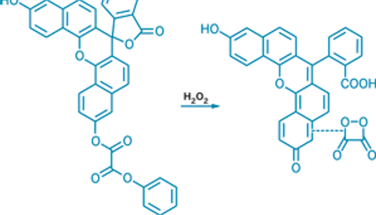 Illuminating Hydrogen Peroxide In Cells