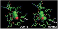 Serving the chemical, life science, and laboratory worlds