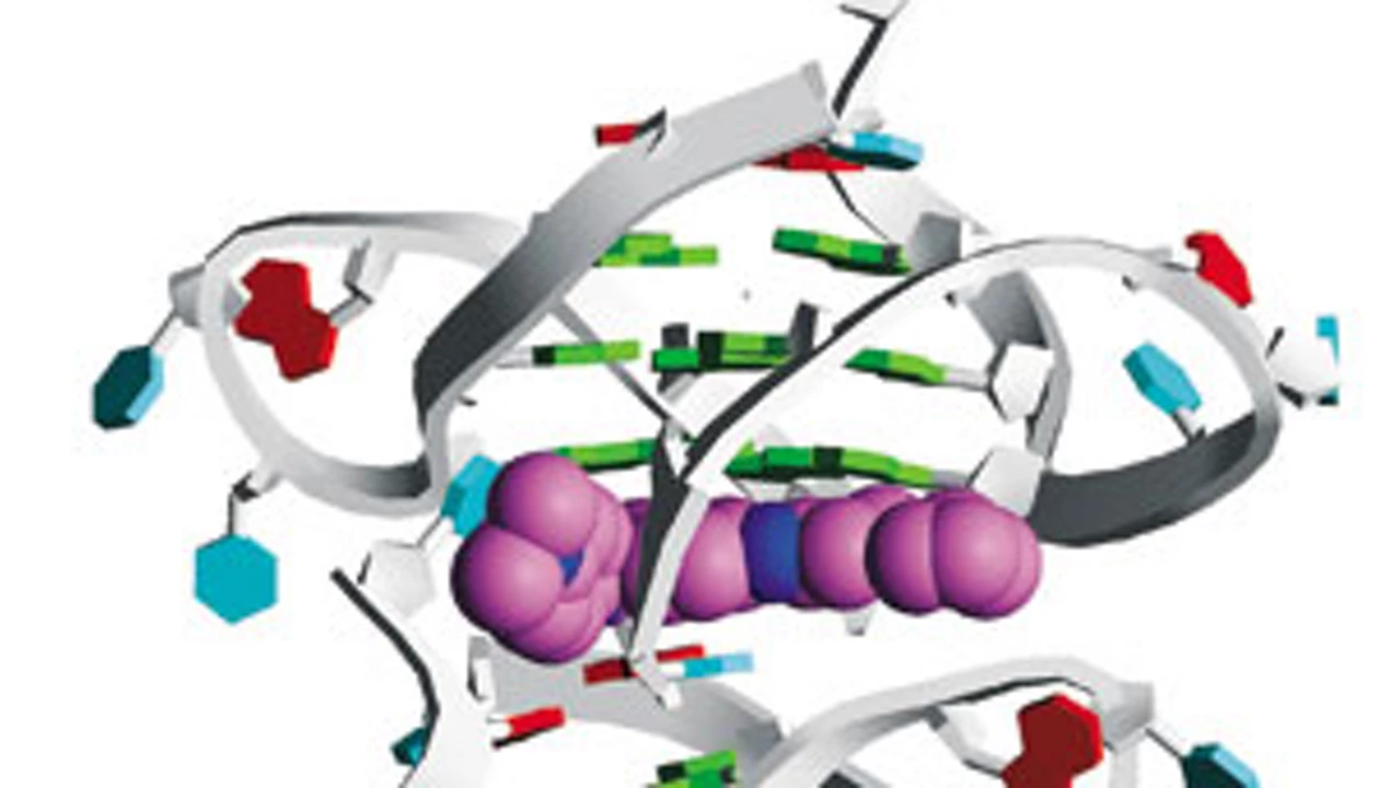 Crystal Structure Reveals Drug-DNA Quadruplex Interactions