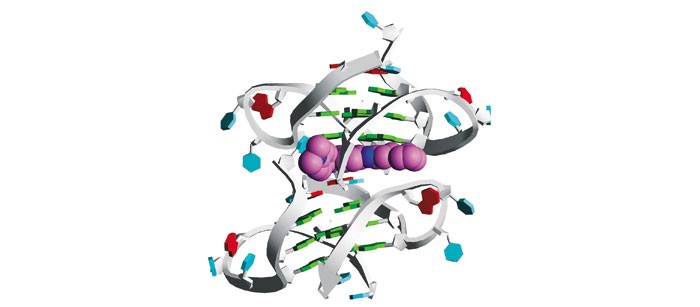 Crystal-Structure-Reveals-Drug-DNA