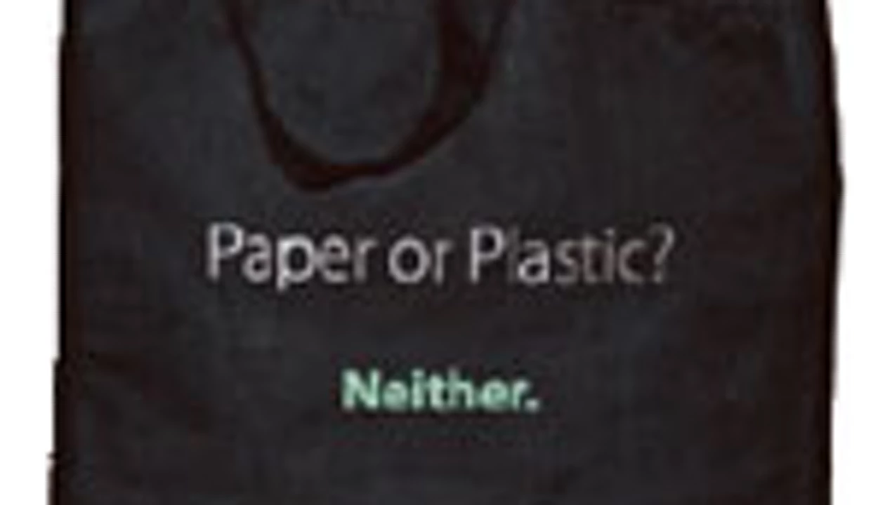The Case Of Paper Versus Plastic