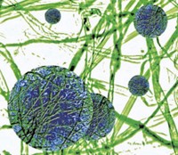 Serving the chemical, life science, and laboratory worlds