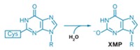 Serving the chemical, life science, and laboratory worlds