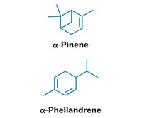 Serving the chemical, life science, and laboratory worlds