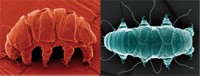 Serving the chemical, life science, and laboratory worlds