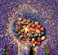 Serving the chemical, life science, and laboratory worlds