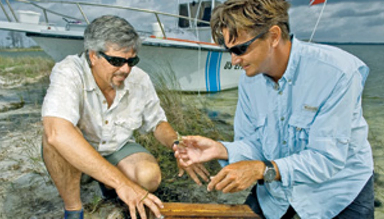 Blueprint For EPA Science