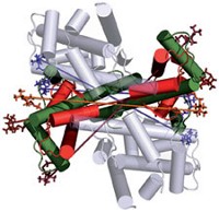 Serving the chemical, life science, and laboratory worlds