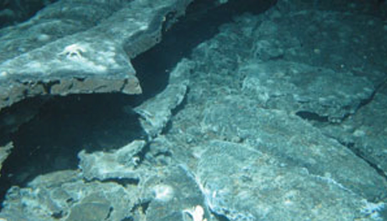 Organic Matrices Help Preserve Iron At Sea