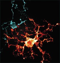 Serving the chemical, life science, and laboratory worlds