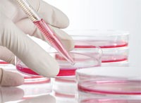 Serving the chemical, life science, and laboratory worlds