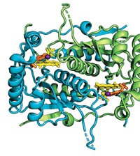Serving the chemical, life science, and laboratory worlds