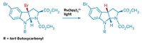 Serving the chemical, life science, and laboratory worlds