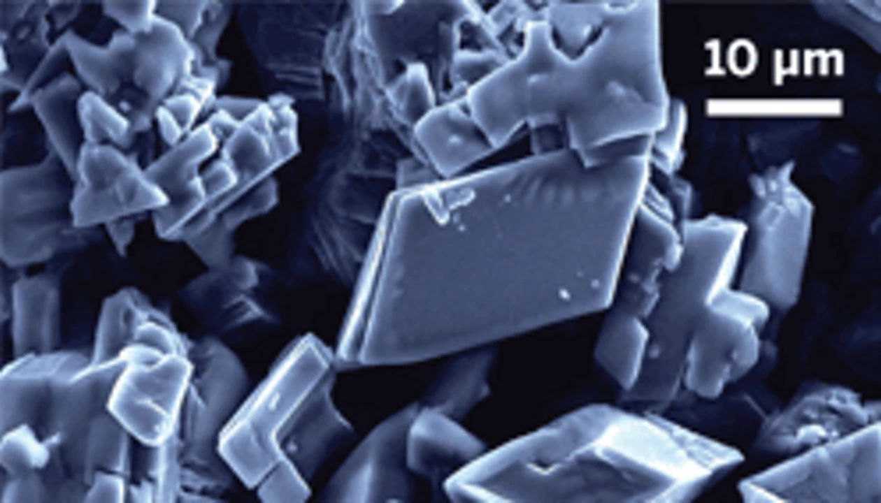 Microencapsulation Aids Insecticides