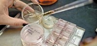 Serving the chemical, life science, and laboratory worlds